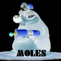 MoRe's Moles MoRe's Moles